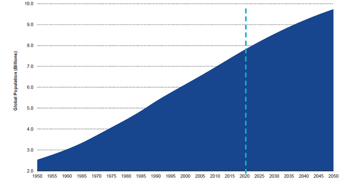 Global population in a rise