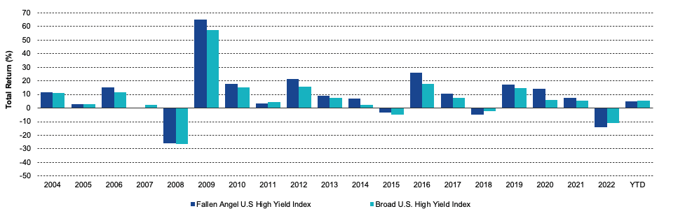 calender-year-and-ytd-returns.png