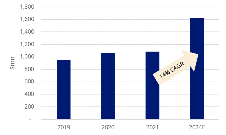 Esports Revenue 2019-2024E